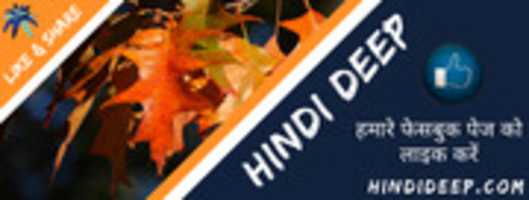 Free download Hindideep.com free photo or picture to be edited with GIMP online image editor