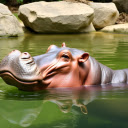Hippopotamus and pretty ears  screen for extension Chrome web store in OffiDocs Chromium