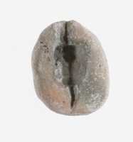 Free download Hippopotamus Mold free photo or picture to be edited with GIMP online image editor