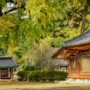 Historical Academy Grounds in Autumn  screen for extension Chrome web store in OffiDocs Chromium
