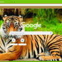 Ho  screen for extension Chrome web store in OffiDocs Chromium