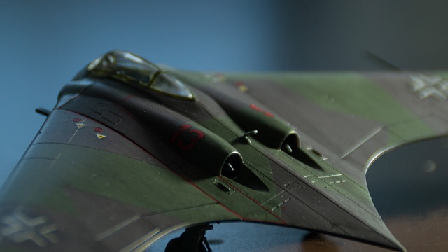 Free download hoard go 229 ix flying wing wwii free picture to be edited with GIMP free online image editor