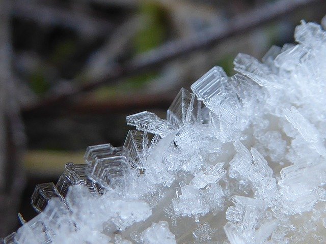 Безкоштовно завантажте Hoarfrost Frosty Nature - безкоштовну фотографію чи зображення для редагування за допомогою онлайн-редактора зображень GIMP