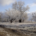 Hoarfrost Landscape  screen for extension Chrome web store in OffiDocs Chromium