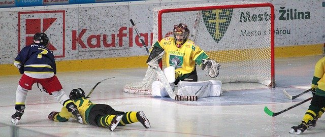 Free graphic hockey goalkeeper action attack to be edited by GIMP free image editor by OffiDocs