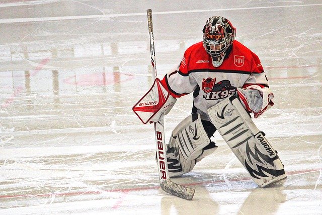 Free download Hockey Goalkeeper Pupils -  free photo or picture to be edited with GIMP online image editor