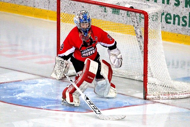 Free download Hockey Goalkeeper Sport -  free photo or picture to be edited with GIMP online image editor