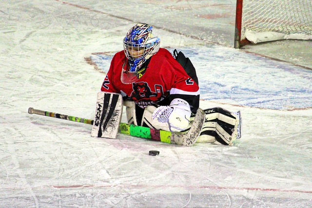 Free download hockey goalkeeper young puck free picture to be edited with GIMP free online image editor