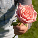 Holding the flower  screen for extension Chrome web store in OffiDocs Chromium