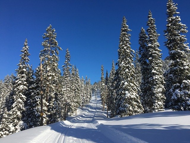 Muat turun percuma Holiday Snow Winter - foto atau gambar percuma untuk diedit dengan editor imej dalam talian GIMP