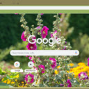 Hollyhock  screen for extension Chrome web store in OffiDocs Chromium