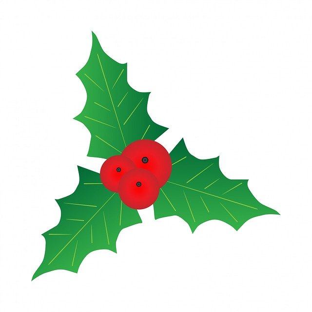 Free download Holly Leaf Leaves -  free illustration to be edited with GIMP free online image editor