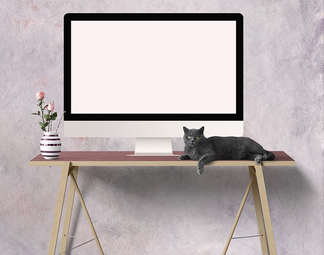 Free download home office homeschooling free picture to be edited with GIMP free online image editor
