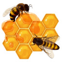 Honey Dosage Calculator  screen for extension Chrome web store in OffiDocs Chromium
