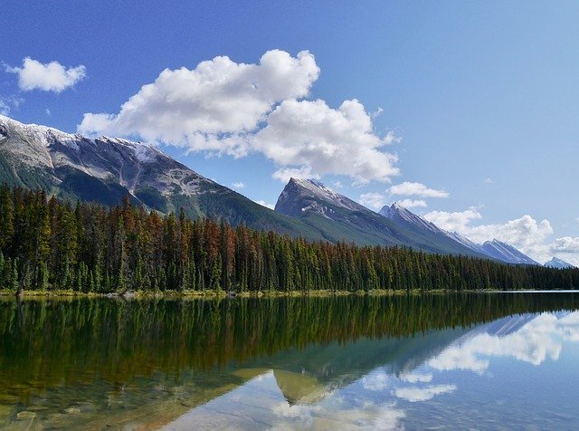 تنزيل Honeymoon Lake Canada Jasper مجانًا - صورة مجانية أو صورة ليتم تحريرها باستخدام محرر الصور عبر الإنترنت GIMP