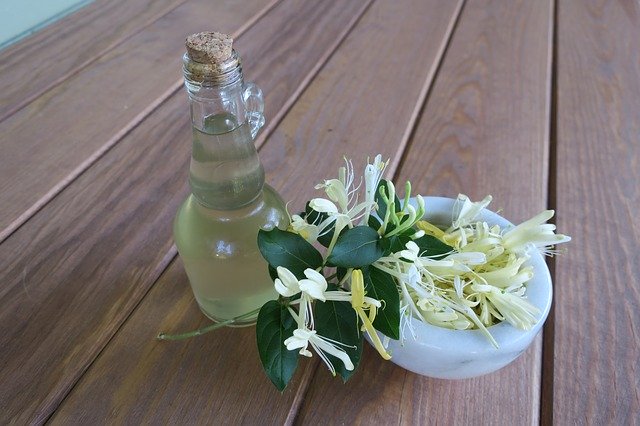 Free download Honeysuckle Simple Syrup -  free photo or picture to be edited with GIMP online image editor