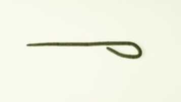 Free download Hook free photo or picture to be edited with GIMP online image editor