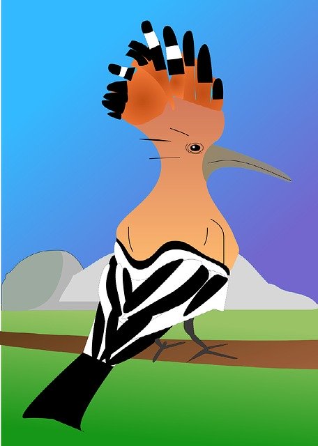 Free download Hoopoe Bird Breeding -  free illustration to be edited with GIMP free online image editor