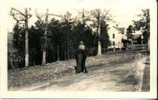 Free download Horace on horseback, North Carolina free photo or picture to be edited with GIMP online image editor