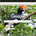 Hornbill  screen for extension Chrome web store in OffiDocs Chromium