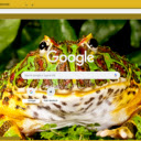 Horned Frog  screen for extension Chrome web store in OffiDocs Chromium