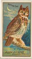 Free download Horned Owl, from the Birds of America series (N4) for Allen & Ginter Cigarettes Brands free photo or picture to be edited with GIMP online image editor