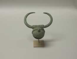 Free download Horned Rattle free photo or picture to be edited with GIMP online image editor