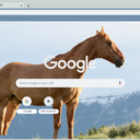 Horse  screen for extension Chrome web store in OffiDocs Chromium