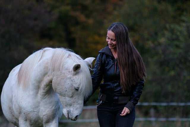 Descarga gratuita imagen gratuita de caballo animal equino naturaleza mujer para editar con el editor de imágenes en línea gratuito GIMP