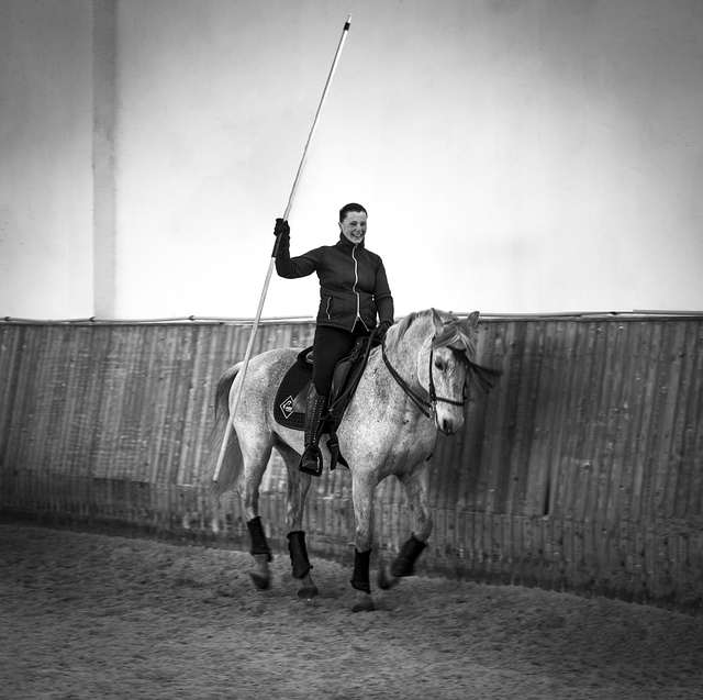 Free download horse animal riding sport ride free picture to be edited with GIMP free online image editor