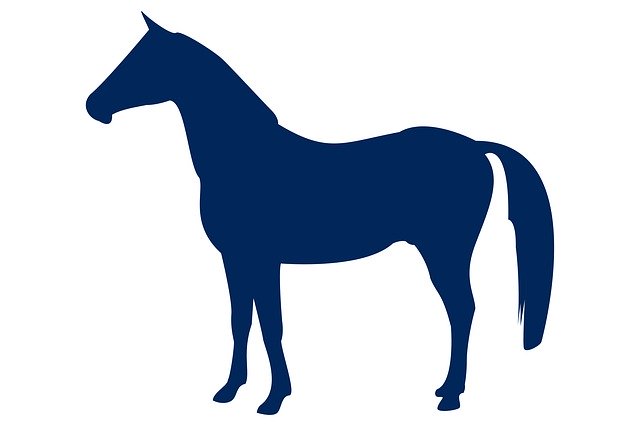 Free download Horse Animal Silhouette -  free illustration to be edited with GIMP free online image editor