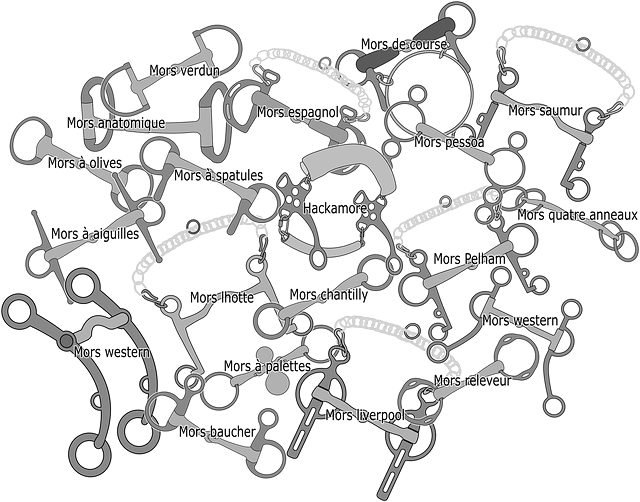 Free download Horseback Riding Equipment Jaws -  free illustration to be edited with GIMP free online image editor