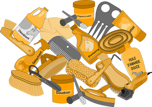 Free download Horseback Riding Horse Equipment -  free illustration to be edited with GIMP free online image editor