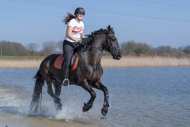 Free download Horseback Riding Horse Nature -  free photo or picture to be edited with GIMP online image editor
