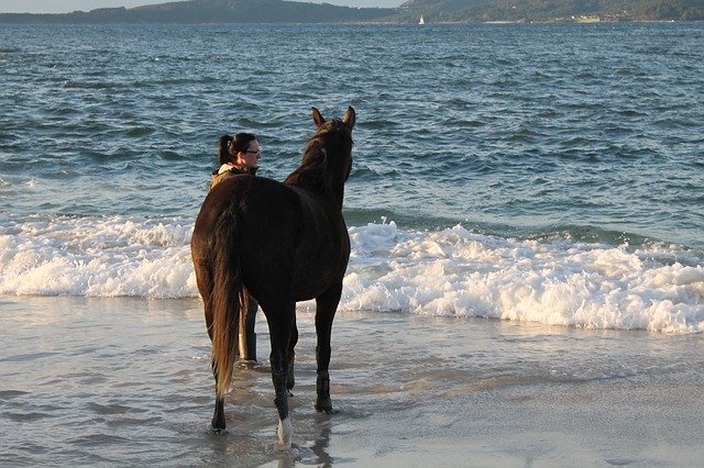 ดาวน์โหลดฟรี Horse Beach Vigo - ภาพถ่ายหรือรูปภาพฟรีที่จะแก้ไขด้วยโปรแกรมแก้ไขรูปภาพออนไลน์ GIMP