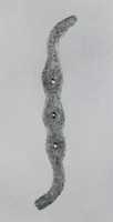 Free download Horse bit cheekpiece free photo or picture to be edited with GIMP online image editor