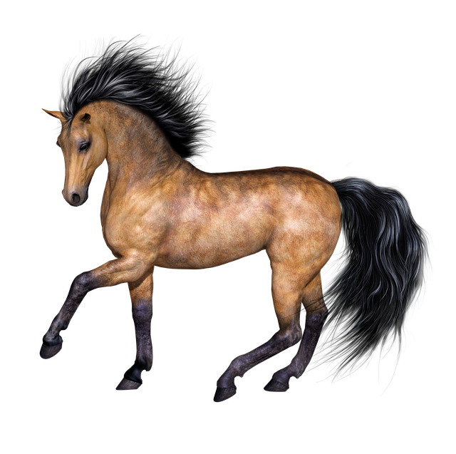 Free download Horse Buckskin Animal -  free illustration to be edited with GIMP online image editor