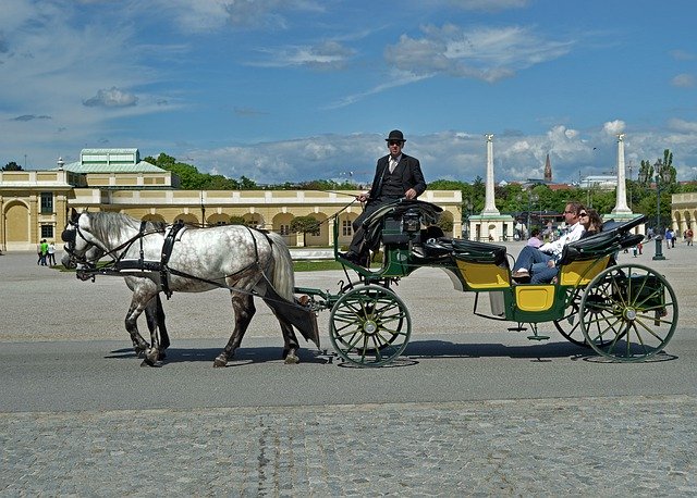 Free download Horse Carriage Schönbrunn Vienna -  free photo or picture to be edited with GIMP online image editor