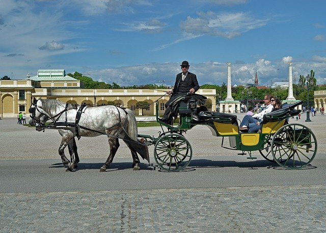 Descarga gratuita Horse Carriage Schönbrunn Vienna - foto o imagen gratuita para editar con el editor de imágenes en línea GIMP