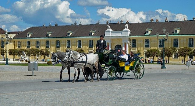 Free download Horse Carriage Vienna Schönbrunn -  free photo or picture to be edited with GIMP online image editor