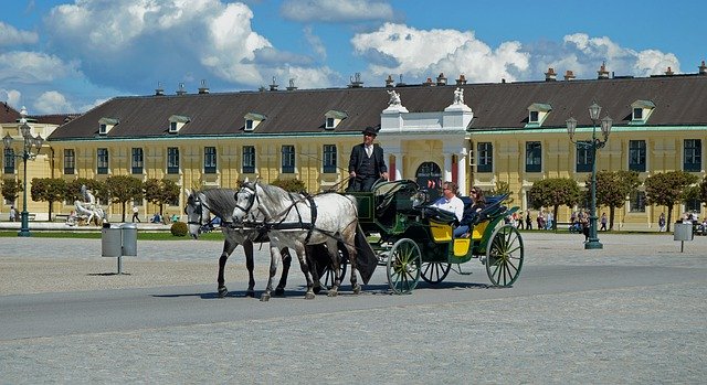 Gratis download Paardenkoets Wenen Schönbrunn - gratis foto of afbeelding om te bewerken met GIMP online afbeeldingseditor