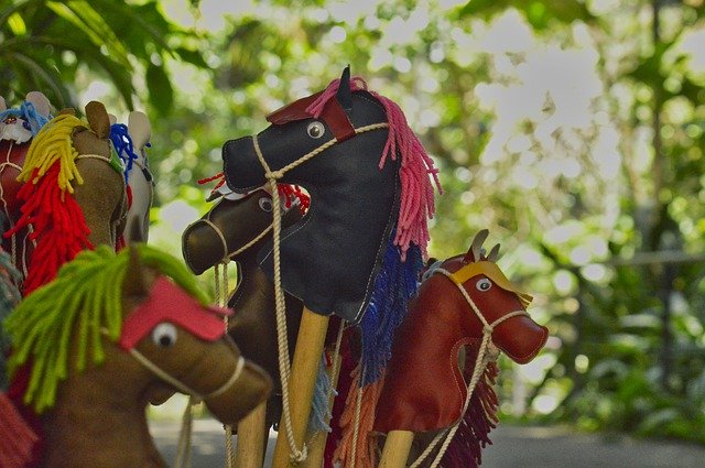 Скачать бесплатно Horse Costa Rica - бесплатное фото или изображение для редактирования с помощью онлайн-редактора изображений GIMP