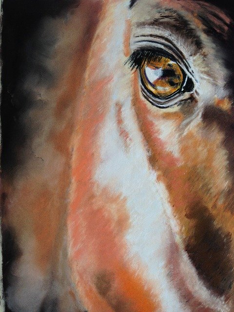 Free download Horse Eye Pastel Pencil Drawing -  free illustration to be edited with GIMP free online image editor
