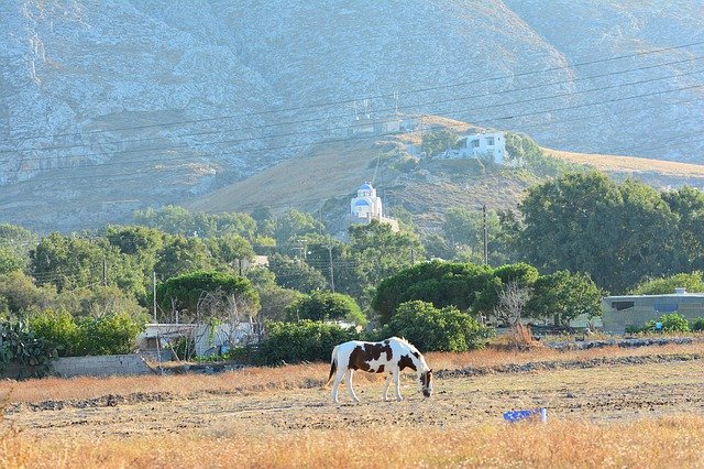 Descarga gratuita Horse Field Santorini - foto o imagen gratuita para editar con el editor de imágenes en línea GIMP