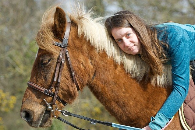 Free graphic horse friends animal ride woman to be edited by GIMP free image editor by OffiDocs