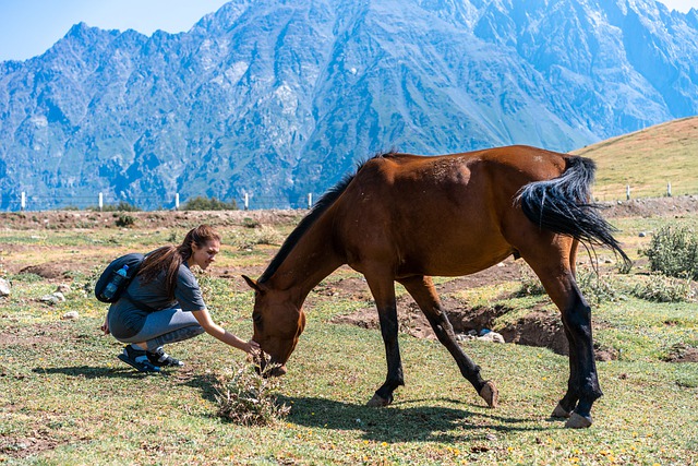 Free download horse girl nature animal cute free picture to be edited with GIMP free online image editor
