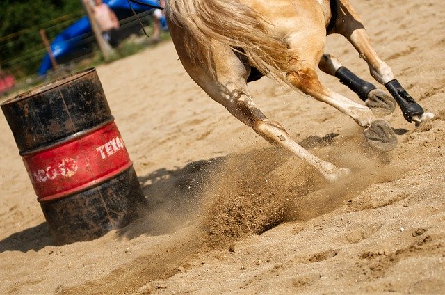 Free download Horse Hooves Riding -  free photo or picture to be edited with GIMP online image editor