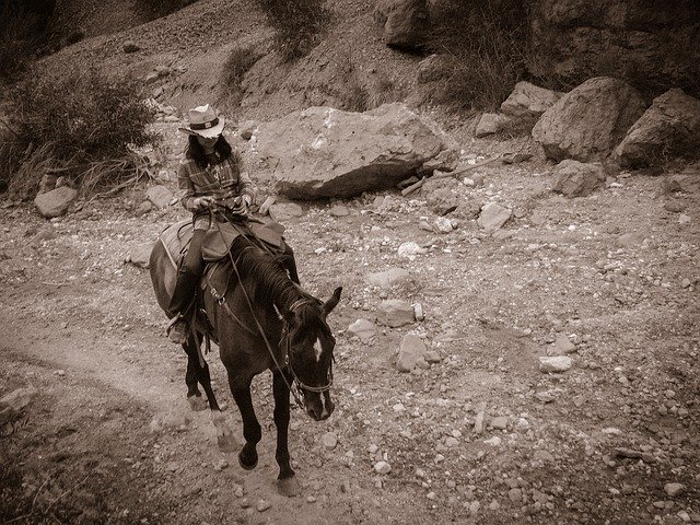 Unduh gratis Horseback Riding Ride - foto atau gambar gratis untuk diedit dengan editor gambar online GIMP