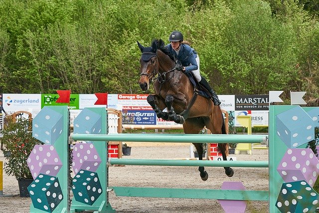 Free picture Horse Jumping Competition Obstacle -  to be edited by GIMP free image editor by OffiDocs