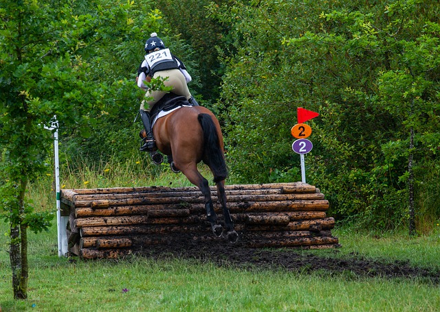 Free download horse jumping cross country jumping free picture to be edited with GIMP free online image editor